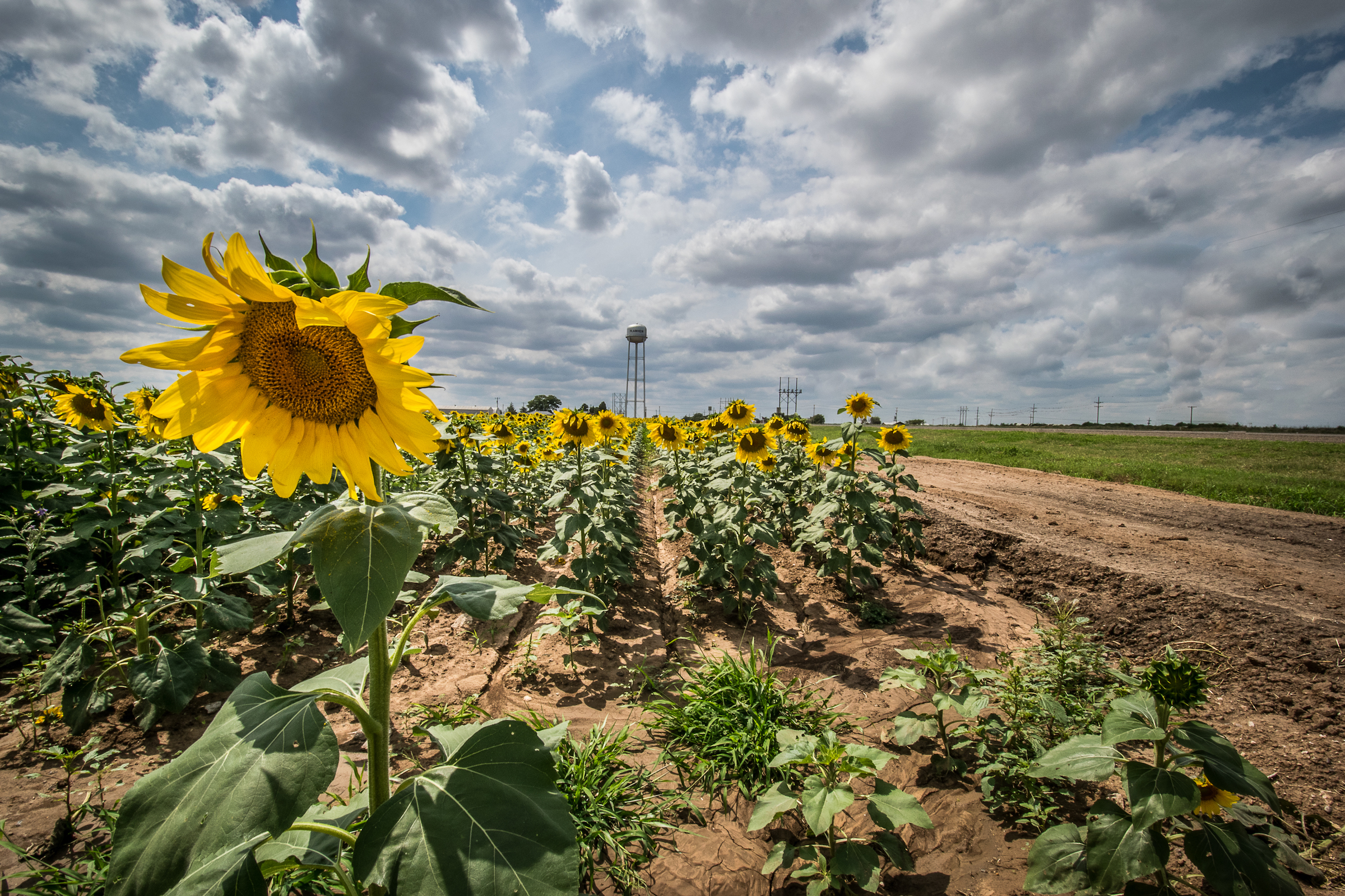 Online Help Center Happy State Bank