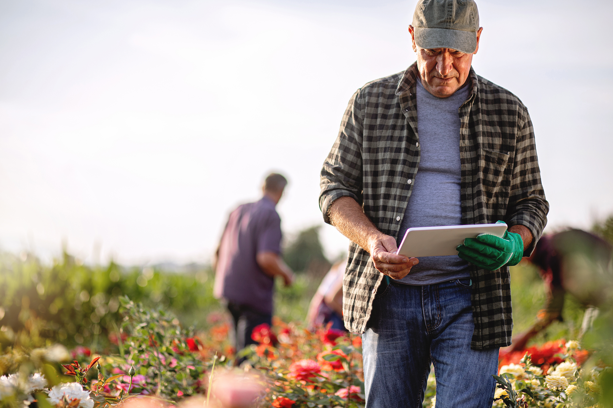 Farmer looking at tablet while walking through plant nursery
