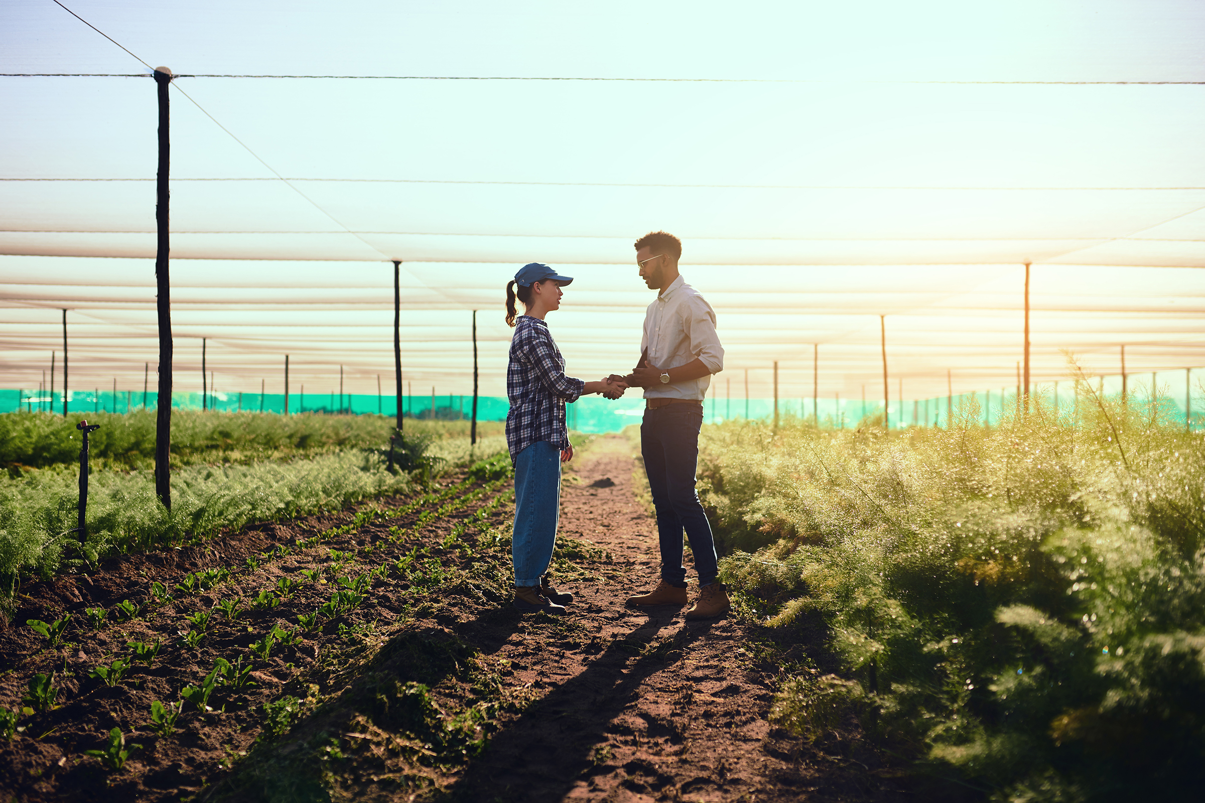 Farmer and business man shaking hands