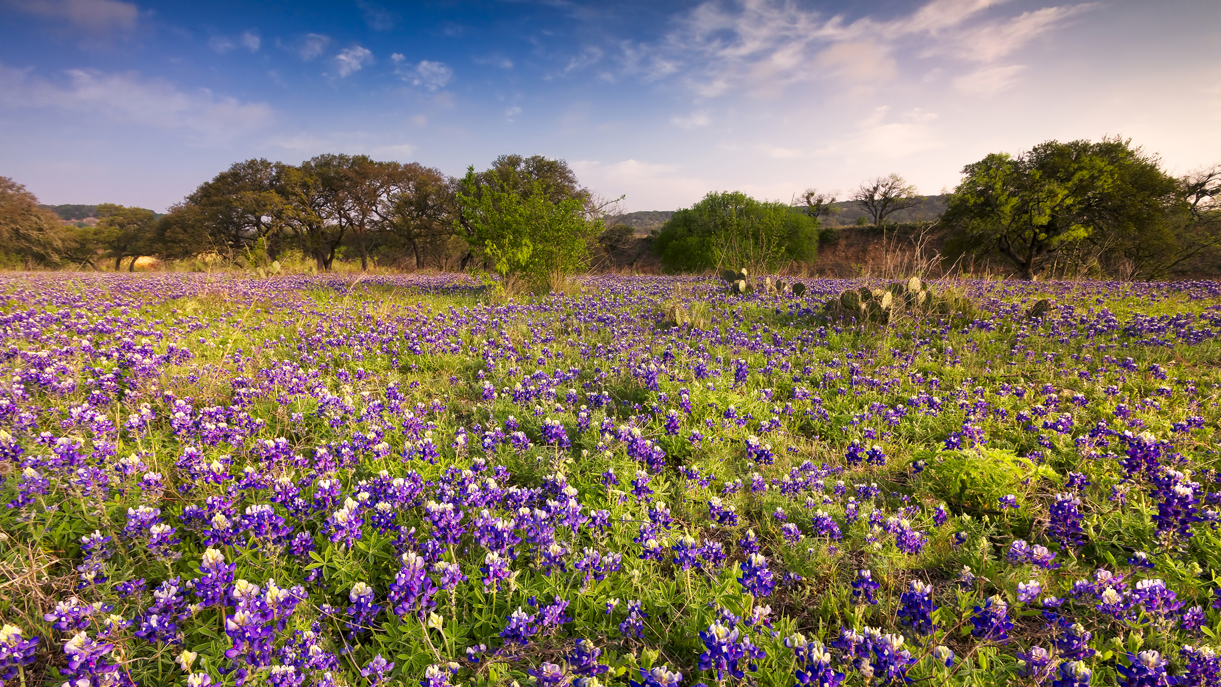 Texas Hill Country scenery