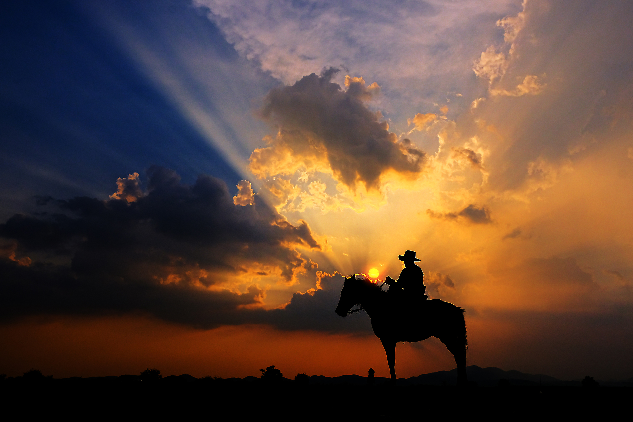 Silhouette of horse and rider with sun behind them