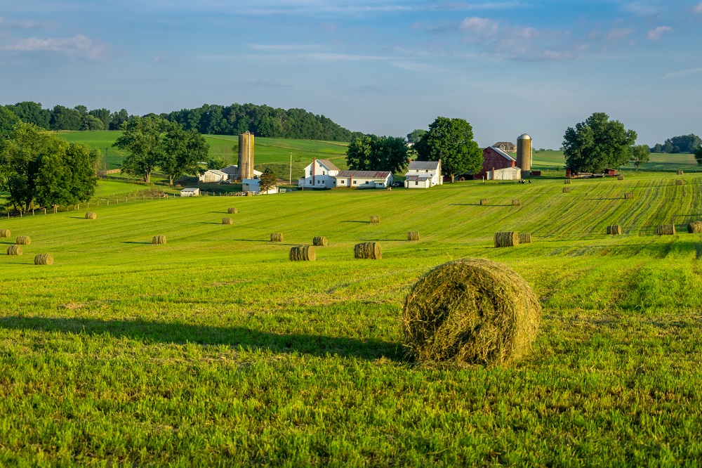 Farmland with hay